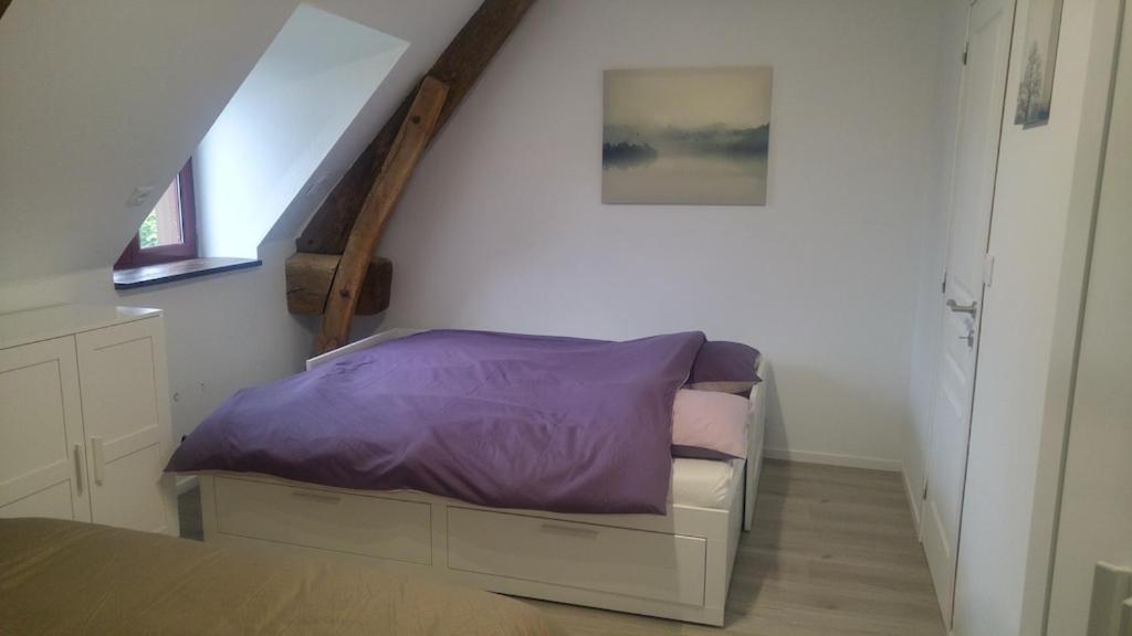 L'Angeberdiere Saint-Mars-sur-la-Futaie Buitenkant foto