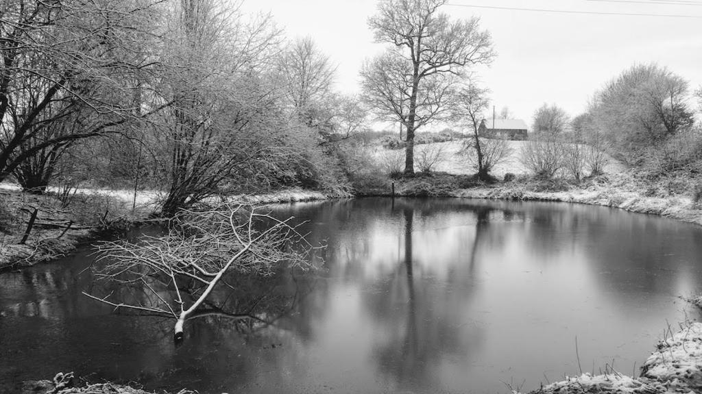 L'Angeberdiere Saint-Mars-sur-la-Futaie Buitenkant foto