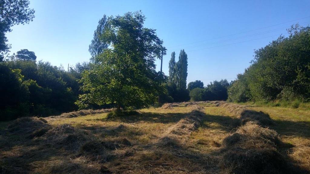 L'Angeberdiere Saint-Mars-sur-la-Futaie Buitenkant foto